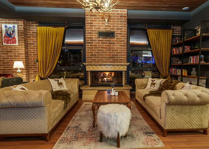 Library Hotel Erciyes Kayseri