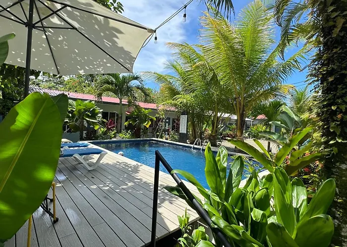 Rooms & Pool Macaws Uvita