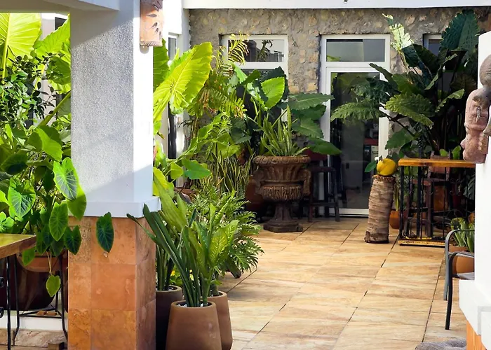 Quinta Alberto Boutique Hotel San Blas