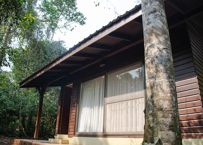Yvy Hotel De Selva Puerto Iguazú