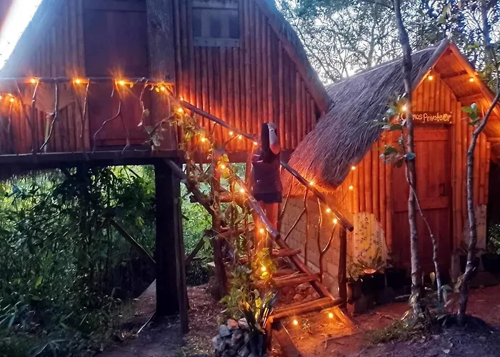 Sanctuaria Treehouses Busuanga