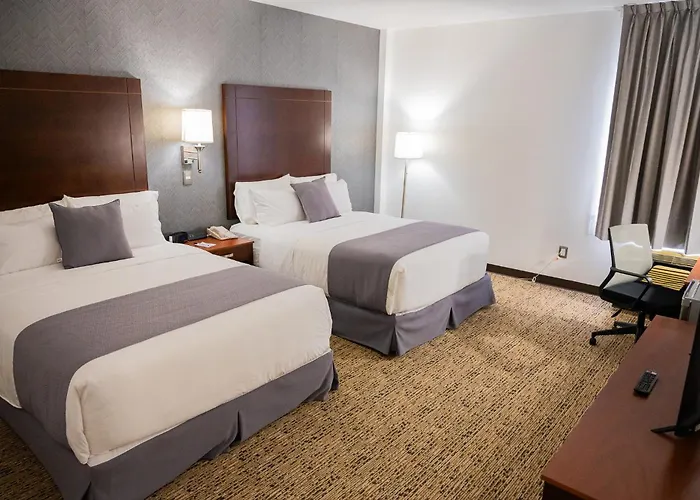 La Quinta By Wyndham Reynosa Hotel
