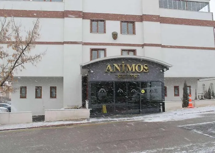 Animos Butik Otel Ankara