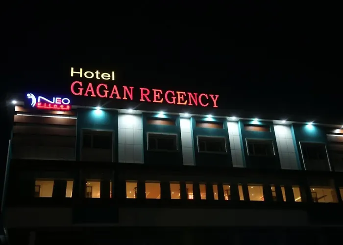 Hotel Gagan Regency Raipur 