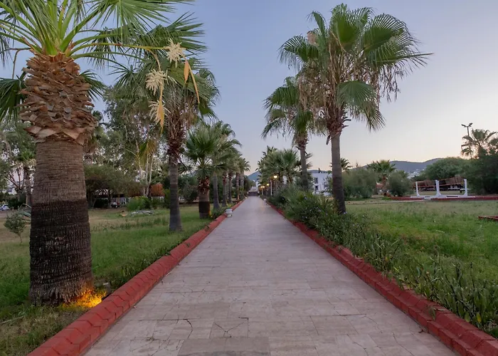Ladonia Hotels Del Mare (Adults Only) Gümbet