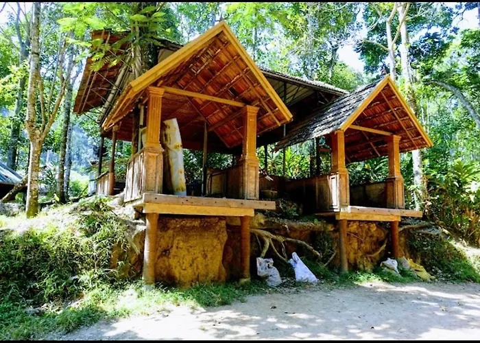Cassells Jungle Resorts Thekkady Vandiperiyar
