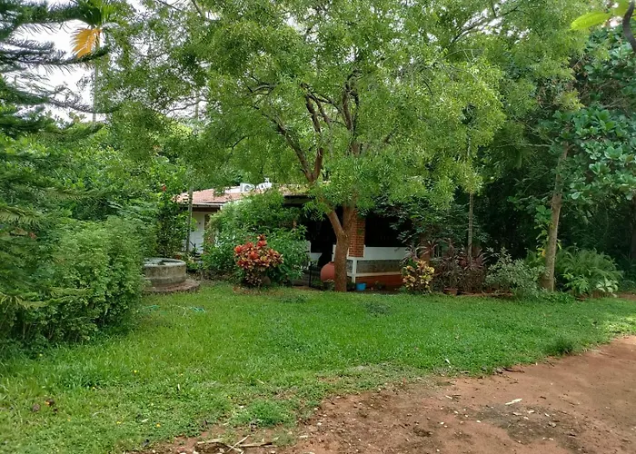 Inn Pondiville Forest Retreat Pondicherry