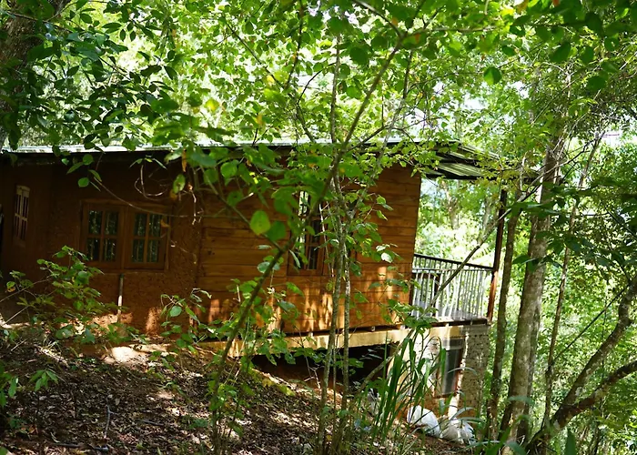Polwaththa Eco Lodges Digana