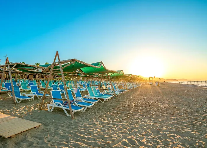 Sea Bird Beach Alanya