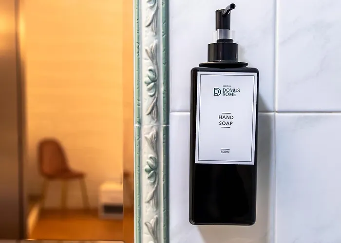 Hotel Domus Rome