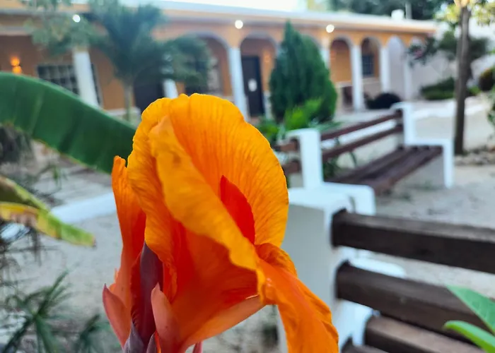 Villa Gabriela Celestún