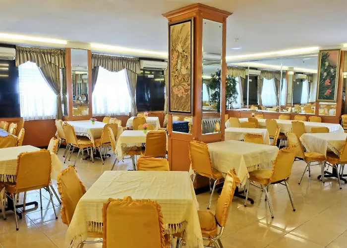 Plaza Hotel Harco Mangga Dua Jakarta