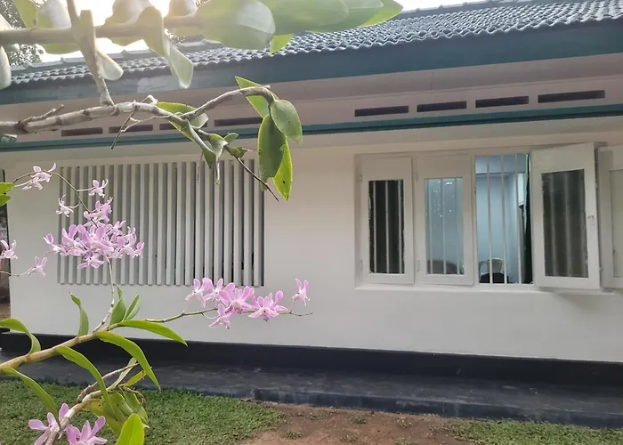 Hotel Pearl In à Mirissa