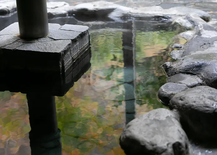 Onsen Guest House Tsutaya Hakone