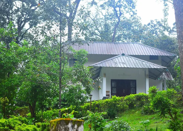 Elixir Woods Luxury Resort And Spa, Munnar