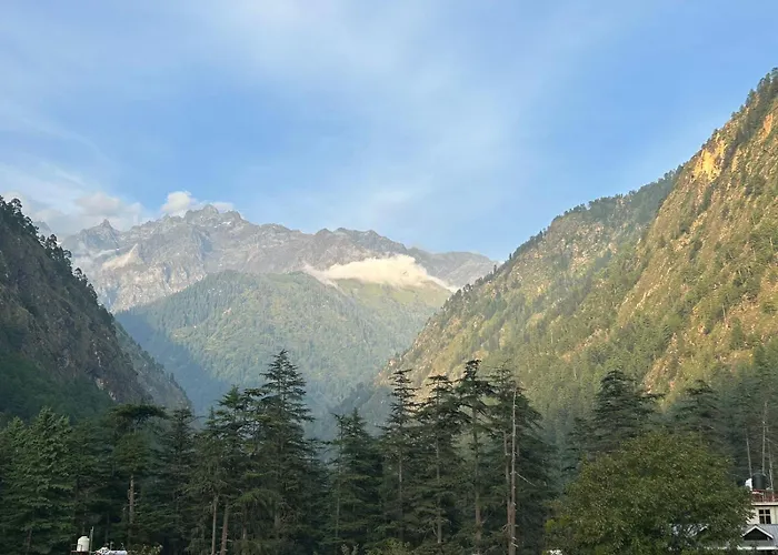 Ronak Hilltop Homestay Kasol