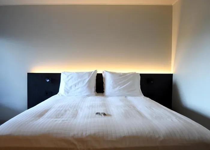 Hotel Hallensis