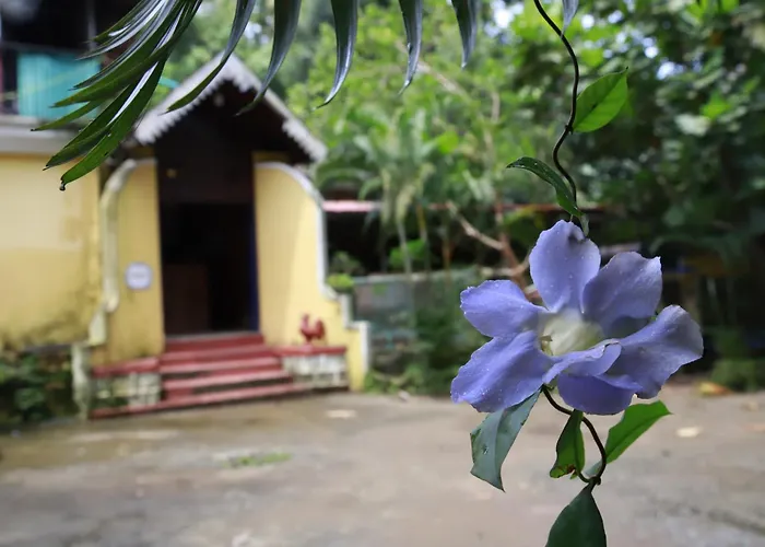 Phoenix Castle House Palolem Canacona