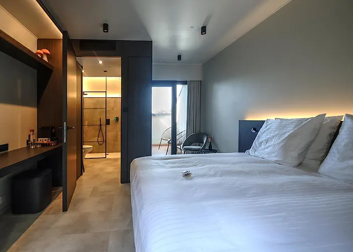 Hotel Hallensis
