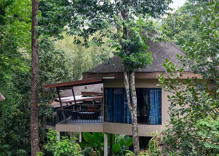 Rock And Tree House Resort Khao Sok National Park