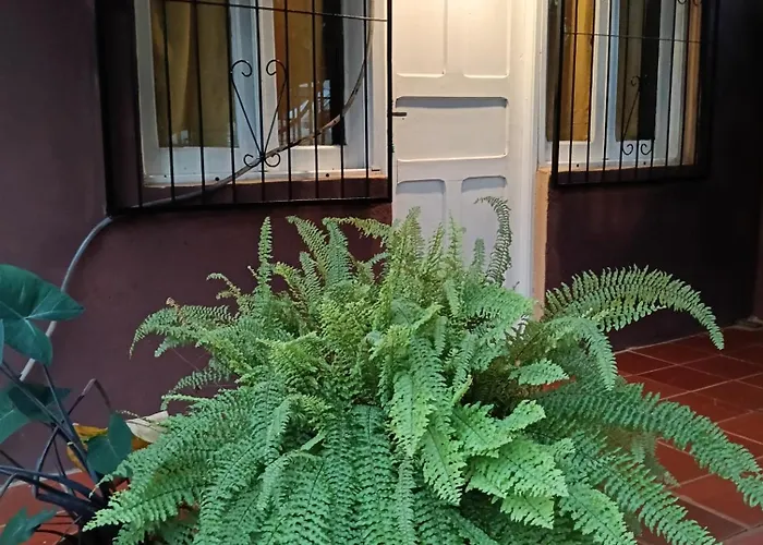 Residencial Los Pinos Puerto Iguazú
