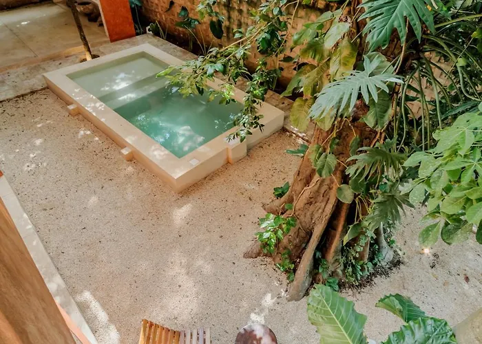 Mamacha - Natural Residence Valladolid 