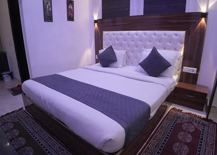 Hotel Raj Palace - Igi Airport Delhi New Delhi