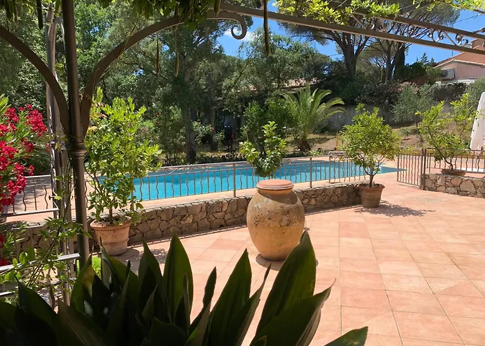 Sous les pins parasols Vidauban