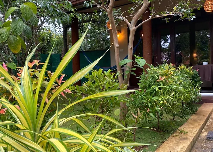 Alone Cage Ella Bed and Breakfast