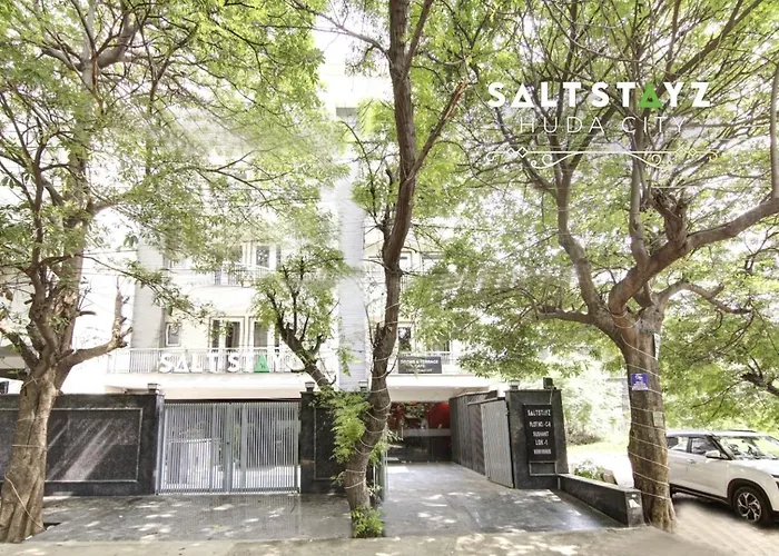 Saltstayz Select - Near Millennium City Centre Gurgaon