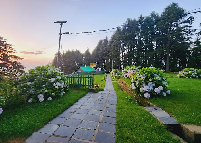 Forest Vibes Kalatop Rooms Restaurant Dalhousie