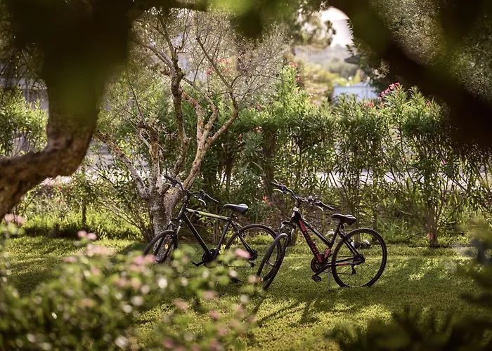 Memories Apartments - Explore & Recharge Laganas