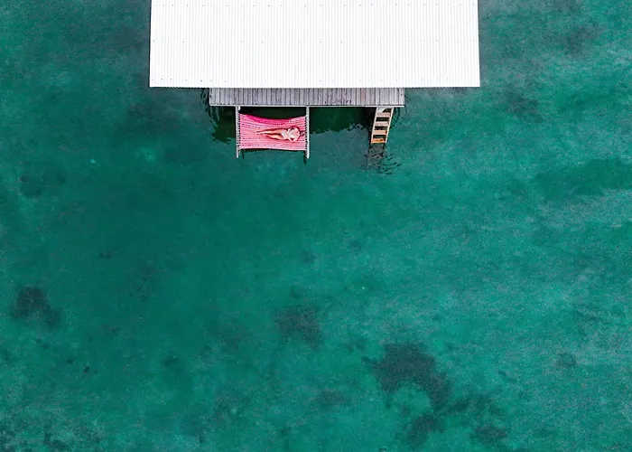 The Sea Monkey Hotel Bocas Town