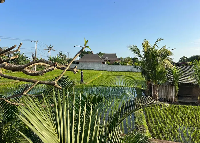 Unit Space Village Canggu