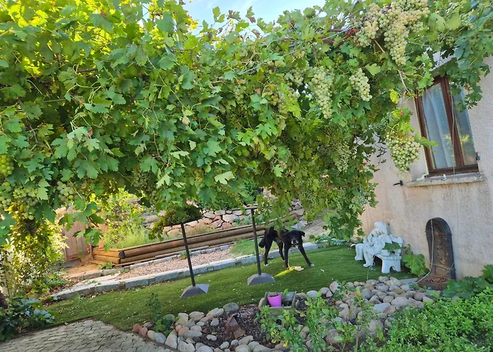 B&B Arghjola Porto-Vecchio 