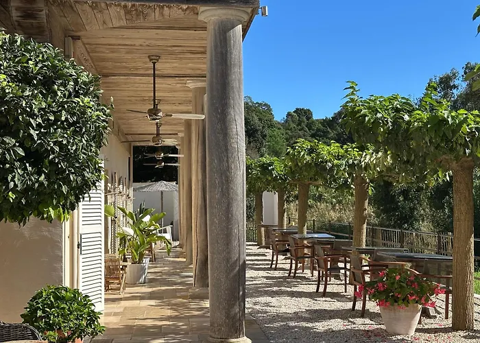 Le Clos des Sept Palmiers Cavalaire-sur-Mer