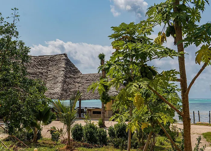 Jaribu Beach Hotel Paje