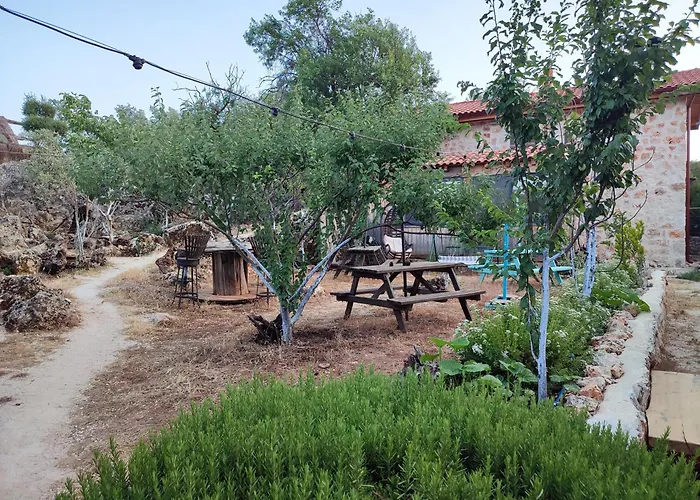 3 Oda Kaş