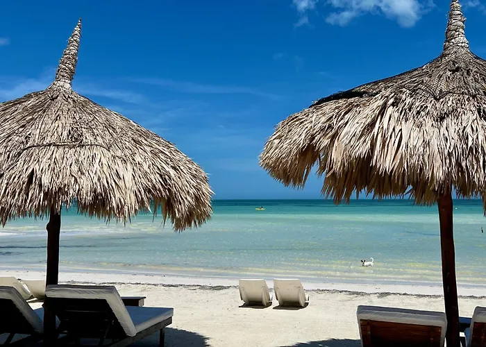Hotel Palapas Del Sol Isla Holbox