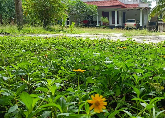 Angels' Homestay Marari Mararikulam