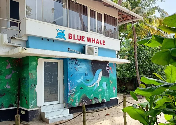 Marari Blue Whale Beach House Alappuzha
