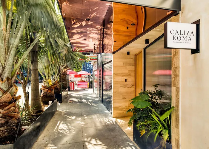 Caliza Roma Residences By Tasman Mexico City