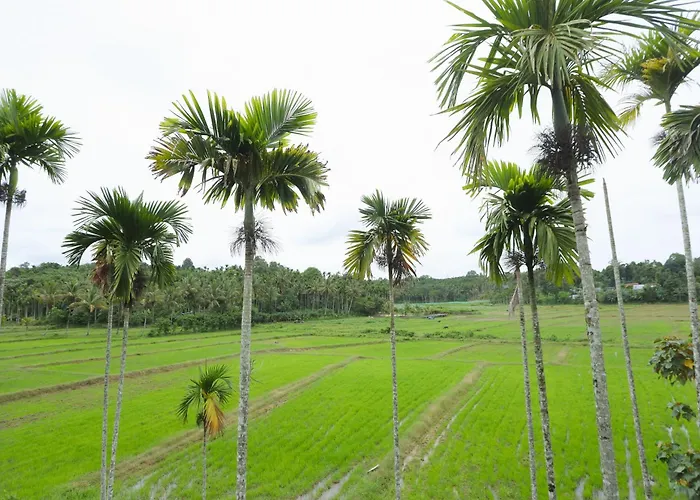 Paddy View Resort Wayanad Sultan Bathery