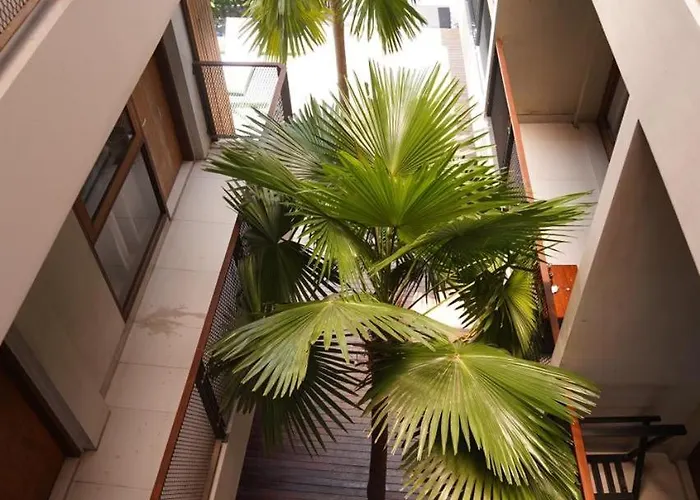 Damano Livin Hotel Canggu 