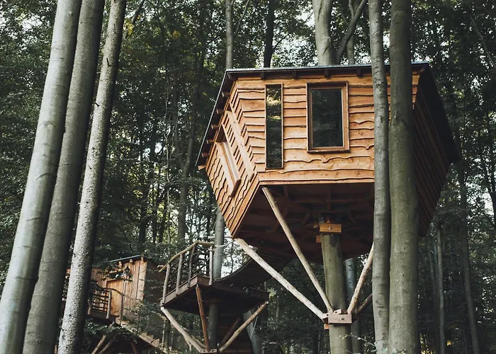 Baumhaushotel Robins Nest Witzenhausen