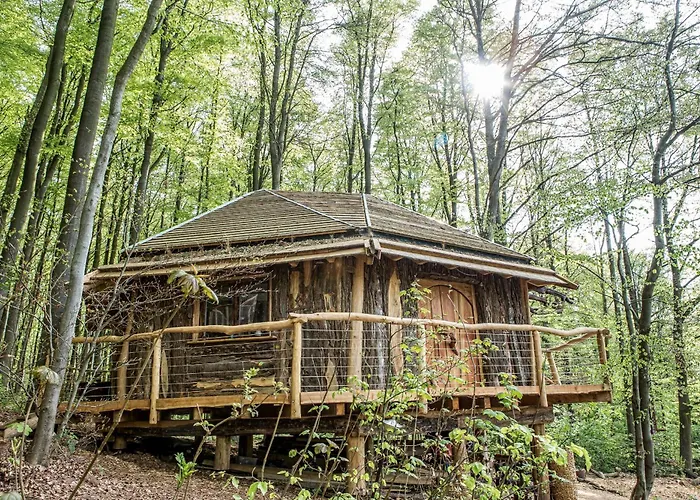 Baumhaushotel Robins Nest Witzenhausen