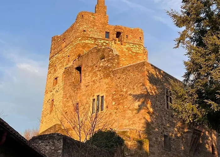 Burg Hermannstein - Monks Room Wetzlar