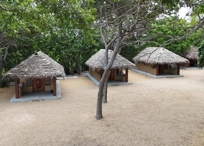 Peanut Farm Surf And Wild Resort - Arugambay Arugam Bay