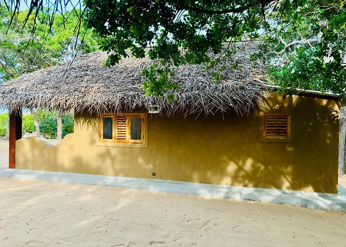 Peanut Farm Surf And Wild Resort - Arugambay Arugam Bay