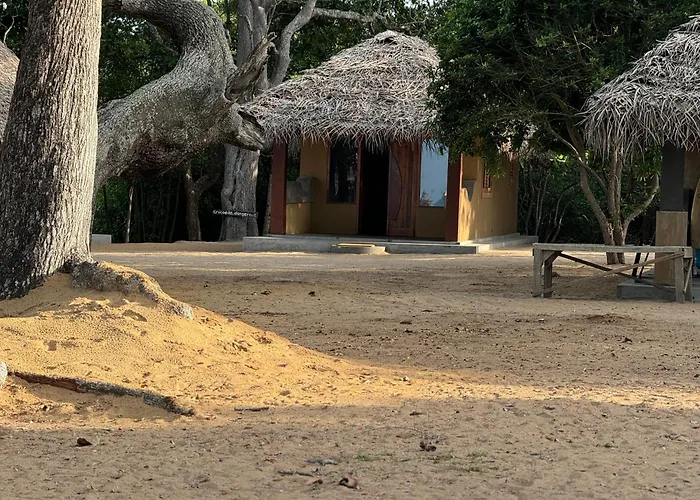 Peanut Farm Surf And Wild Resort - Arugambay Arugam Bay